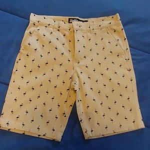 Flamingo Boys Shorts